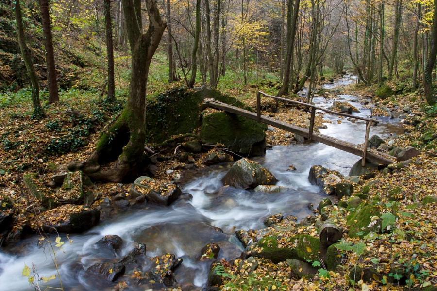 Ruska Koca Hotel Hočko Pohorje Buitenkant foto